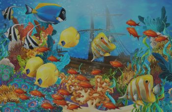 Before 20/20 Aquarium Background Mounting Solution