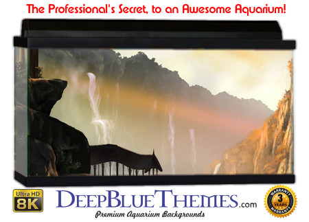 Buy Aquarium Background 3d 0001 Aquarium Background