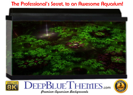 Buy Aquarium Background 3d 0002 Aquarium Background