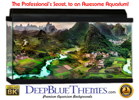 Buy Aquarium Background 3d 0003 Aquarium Background
