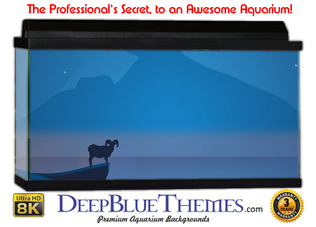 Buy Aquarium Background 3d 0005 Aquarium Background
