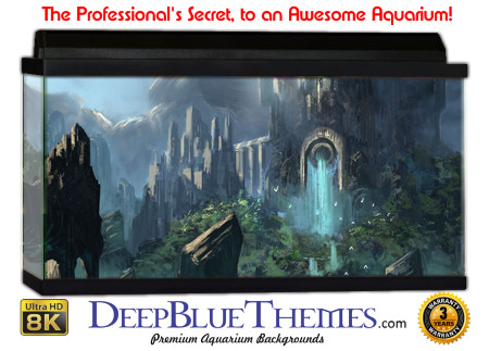 Buy Aquarium Background 3d 0007 Aquarium Background