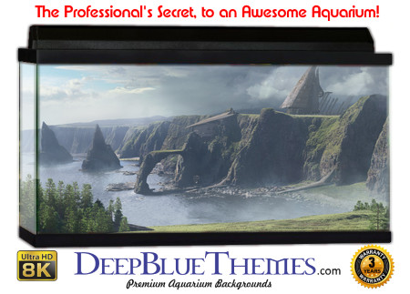 Buy Aquarium Background 3d 0008 Aquarium Background
