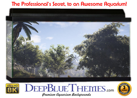 Buy Aquarium Background 3d 0010 Aquarium Background