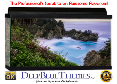 Buy Aquarium Background 3d 0012 Aquarium Background