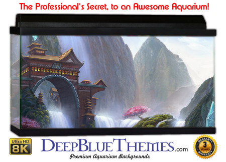 Buy Aquarium Background 3d 0016 Aquarium Background