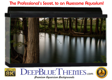 Buy Aquarium Background 3d 0017 Aquarium Background