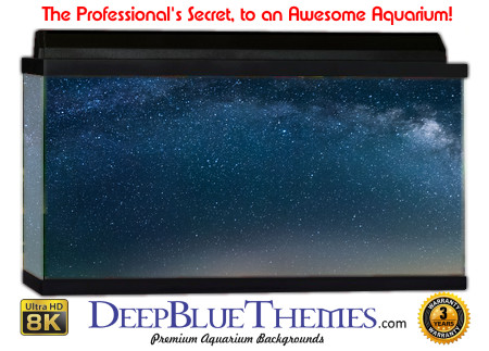 Buy Aquarium Background 3d 0018 Aquarium Background