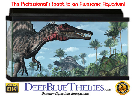 Buy Aquarium Background 3d 0019 Aquarium Background