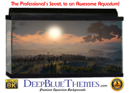 Buy Aquarium Background 3d 0020 Aquarium Background