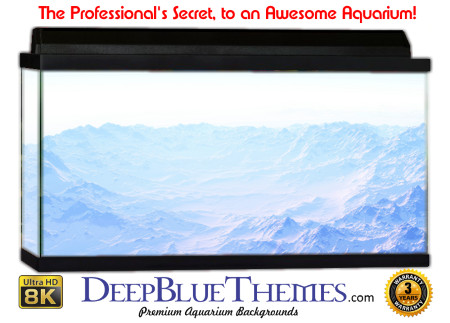 Buy Aquarium Background 3d 0021 Aquarium Background
