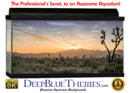 Buy Aquarium Background 3d 0022 Aquarium Background