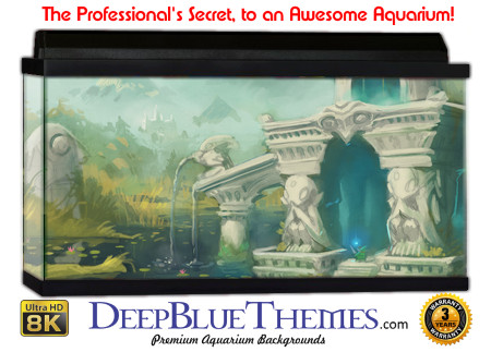 Buy Aquarium Background 3d 0027 Aquarium Background