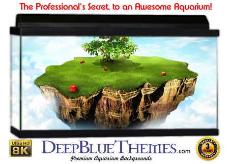 Buy Aquarium Background 3d 0028 Aquarium Background