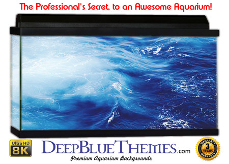 Buy Aquarium Background 3d 0029 Aquarium Background