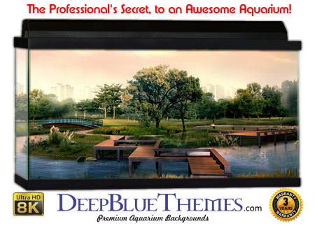 Buy Aquarium Background 3d 0030 Aquarium Background
