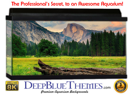 Buy Aquarium Background 3d 0031 Aquarium Background