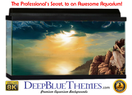 Buy Aquarium Background 3d 0032 Aquarium Background