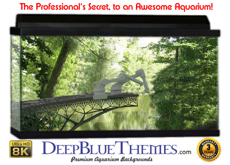 Buy Aquarium Background 3d 0034 Aquarium Background