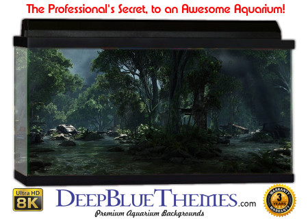 Buy Aquarium Background 3d 0035 Aquarium Background