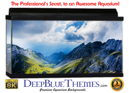 Buy Aquarium Background 3d 0036 Aquarium Background
