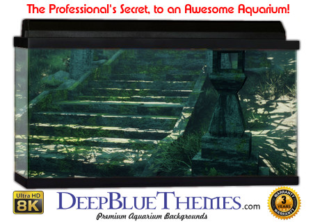 Buy Aquarium Background 3d 0038 Aquarium Background