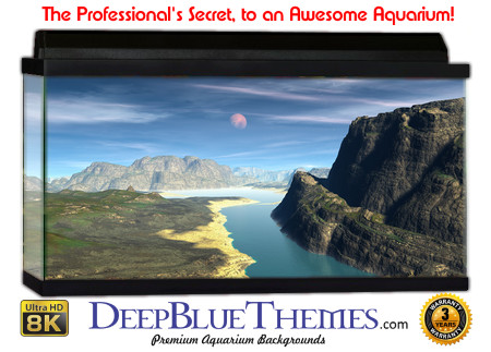 Buy Aquarium Background 3d 0040 Aquarium Background