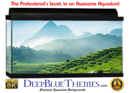 Buy Aquarium Background 3d 0041 Aquarium Background