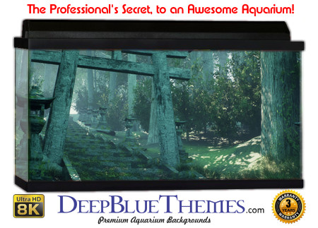 Buy Aquarium Background 3d 0042 Aquarium Background