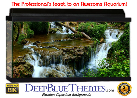 Buy Aquarium Background 3d 0046 Aquarium Background