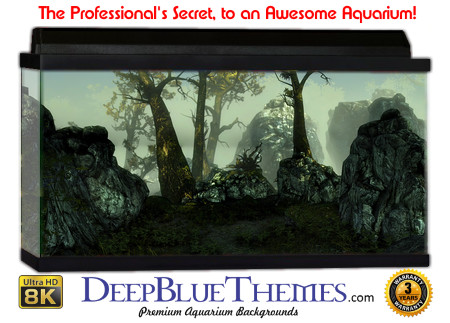 Buy Aquarium Background 3d 0047 Aquarium Background
