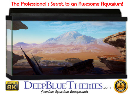 Buy Aquarium Background 3d 0048 Aquarium Background