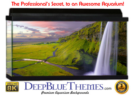 Buy Aquarium Background 3d 0049 Aquarium Background