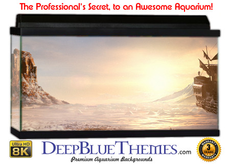 Buy Aquarium Background 3d 0051 Aquarium Background