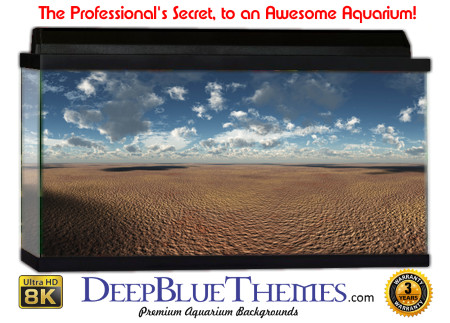 Buy Aquarium Background 3d 0053 Aquarium Background