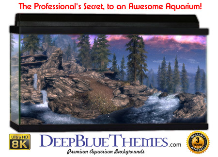 Buy Aquarium Background 3d 0054 Aquarium Background