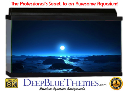 Buy Aquarium Background 3d 0055 Aquarium Background