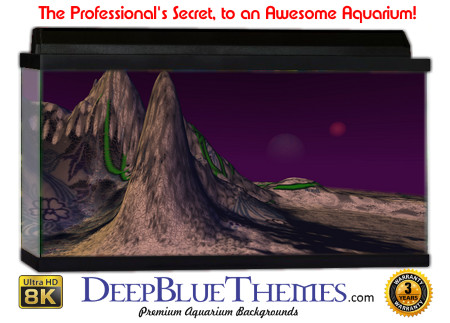 Buy Aquarium Background 3d 0057 Aquarium Background