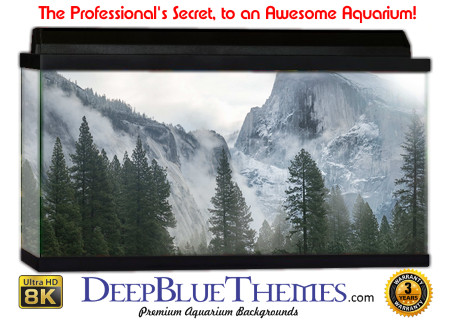 Buy Aquarium Background 3d 0062 Aquarium Background