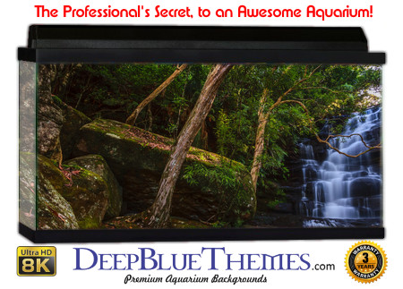 Buy Aquarium Background 3d 0063 Aquarium Background