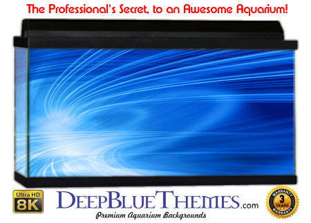 Buy Aquarium Background Abstract Azure Aquarium Background