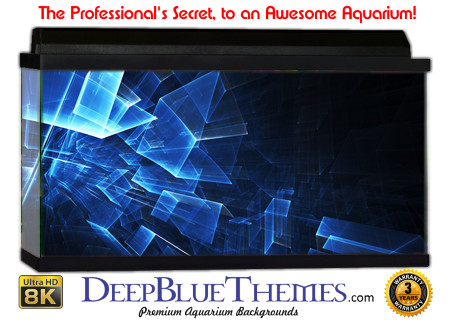 Buy Aquarium Background Abstract Blue Aquarium Background