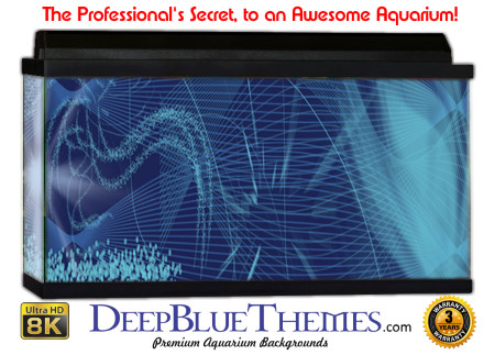 Buy Aquarium Background Abstract Digital Aquarium Background