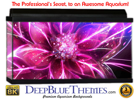 Buy Aquarium Background Abstract Eden Aquarium Background