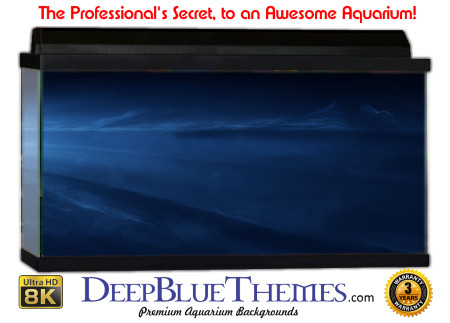 Buy Aquarium Background Abstract Night Aquarium Background