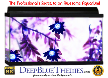 Buy Aquarium Background Abstract Purple Aquarium Background