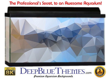 Buy Aquarium Background Abstract Tri Aquarium Background