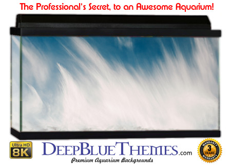 Buy Aquarium Background Abstract Walk Aquarium Background