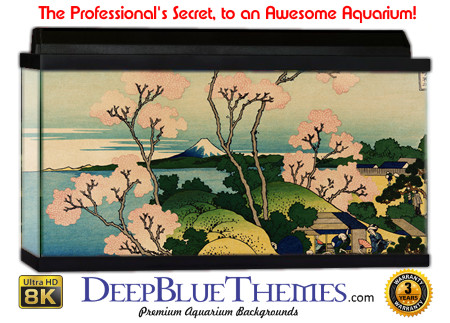 Buy Aquarium Background Asian Beach Aquarium Background