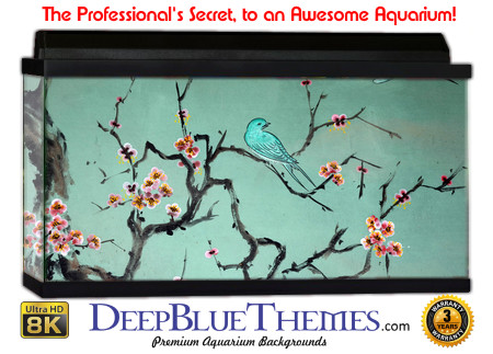 Buy Aquarium Background Asian Birds Aquarium Background